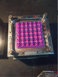 प्लास्टिक अंडे ट्रे मोल्ड के लिए कस्टम ऊर्जा की बचत इंजेक्शन मोल्डिंग मशीन