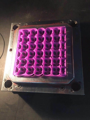 पीपी ऑटो प्लास्टिक मोल्ड बनाने की मशीन अंडा कंटेनर प्लास्टिक मशीनरी
